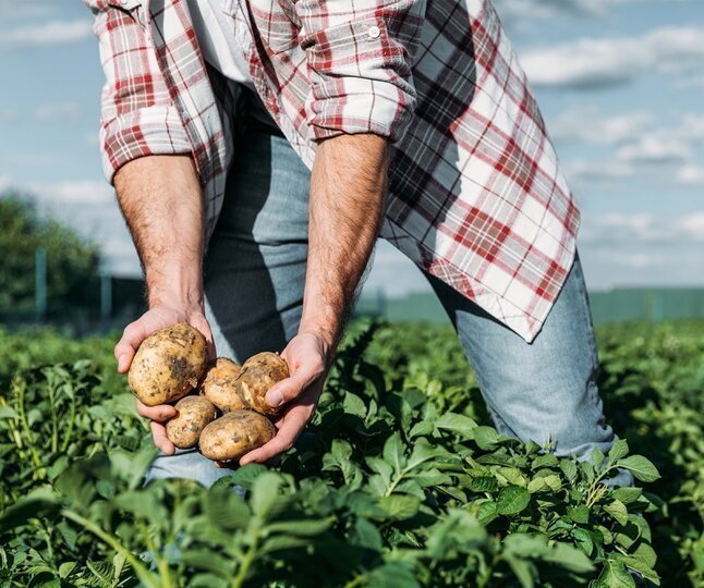 Od farmáře až ke dveřím a to chytřeji než kdy dřív Od farmáře až ke dveřím a to chytřeji než kdy dřív